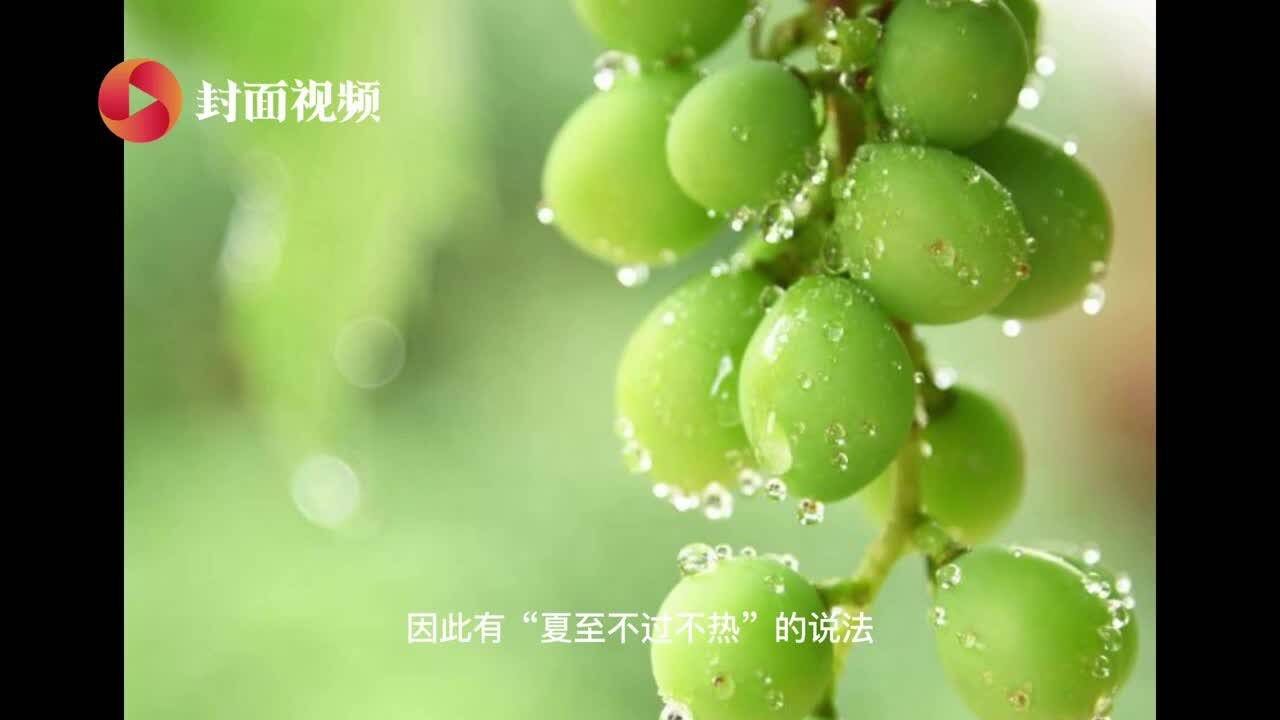 为什么说“夏至不过不热”?丨民俗日历ⷤ𚌥四节气