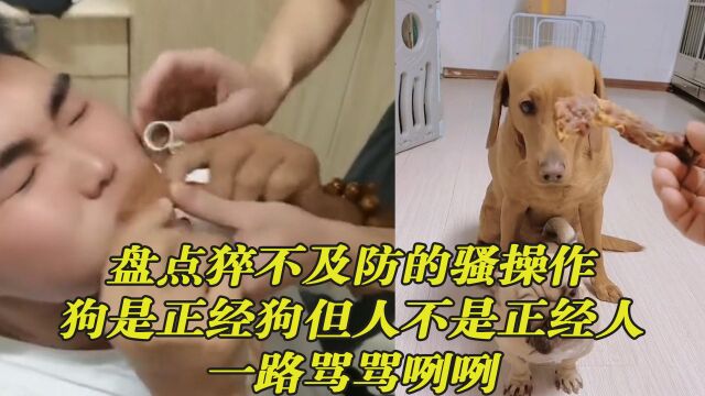 盘点猝不及防的骚操作,狗是正经狗但人不是正经人,一路骂骂咧咧