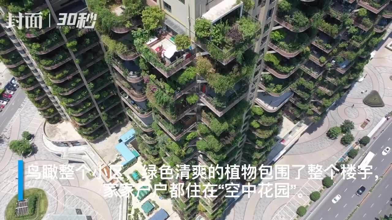 每层阳台都种着绿植 成都一小区居民仿佛住在“空中花园”