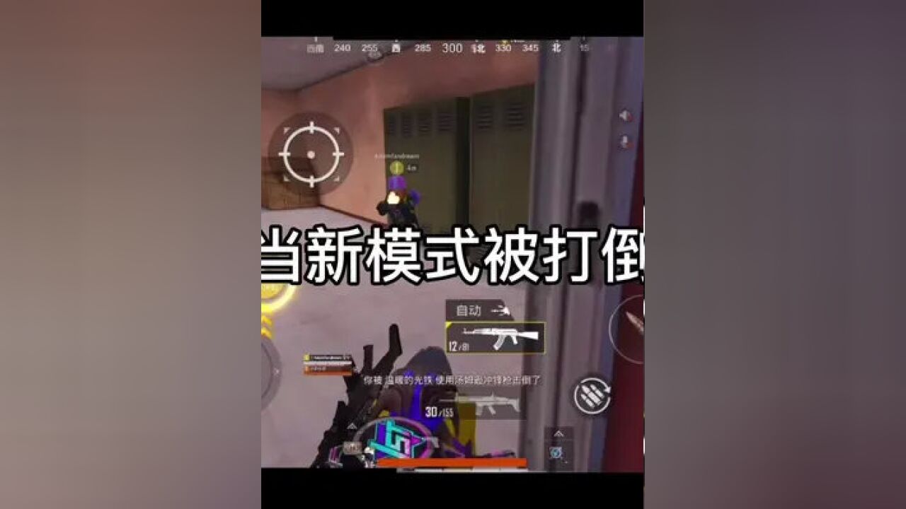 和平精英 有这样的队友你晚上几点上线?
