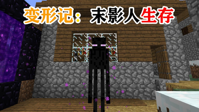 我的世界:当你变成末影人,获得小黑特性,你会如何生存?