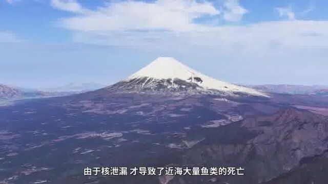 日本传来异动,借天灾掩饰“核试验”?10天地震超290次异象引关注