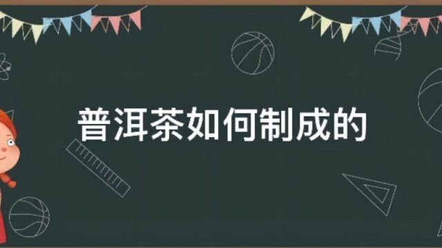 揭秘普洱茶饼制作!