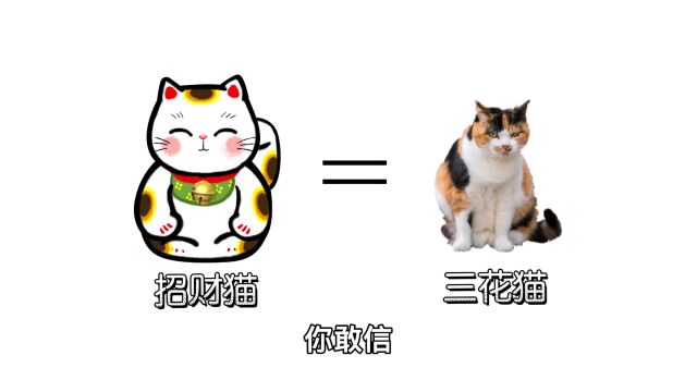 扒一扒招财猫的原型:三花猫原型