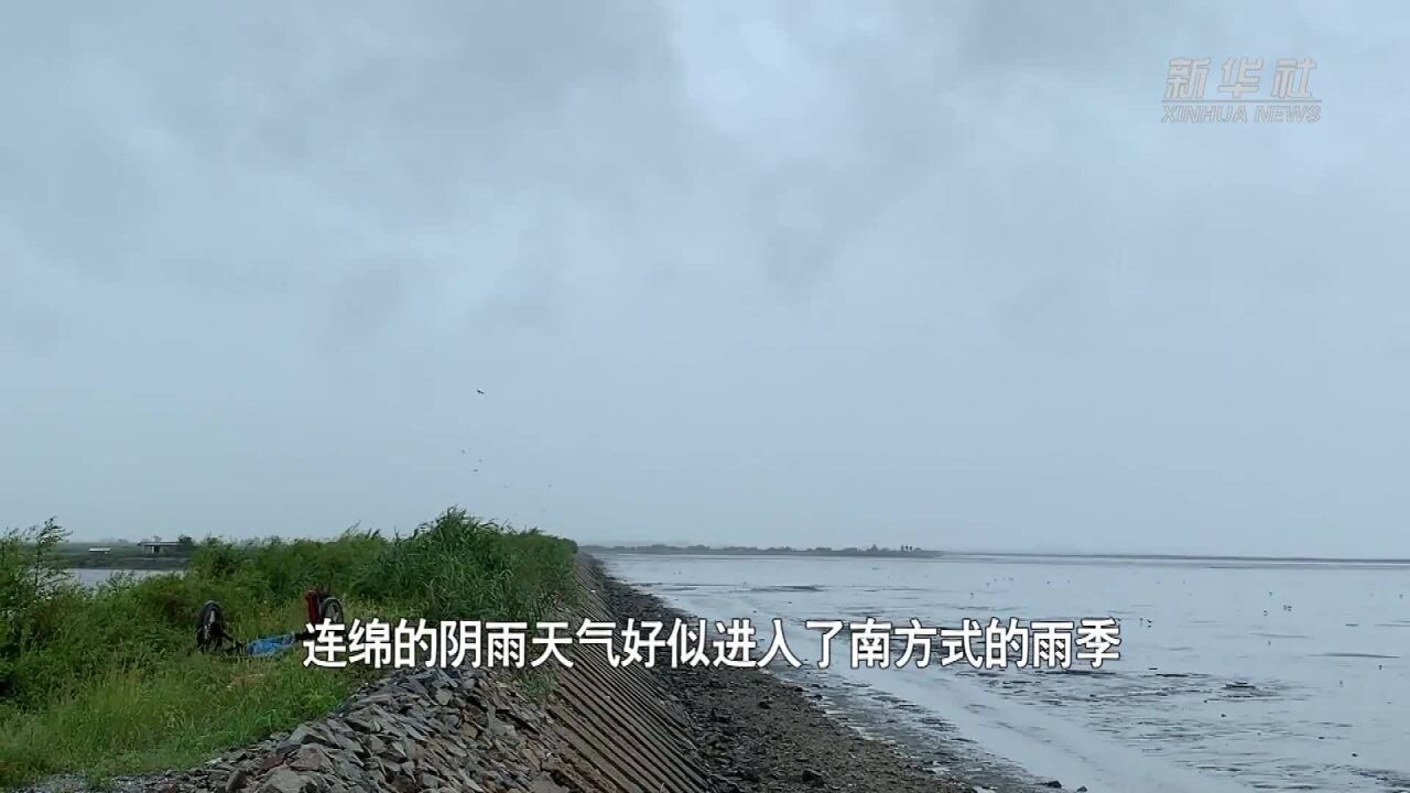 辽宁:各地频繁降雨 电力工人全力保电防汛