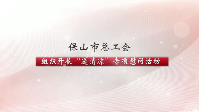 保山市总工会组织开展“送清凉”专项慰问活动