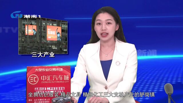 【产业立区 惠民立区】胪岗镇:专精特新增后劲 三大产业筋骨壮