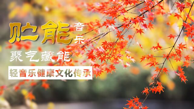 纯音乐《乱红》箫与钢琴|时尚与传统的天作之合|养脾音乐