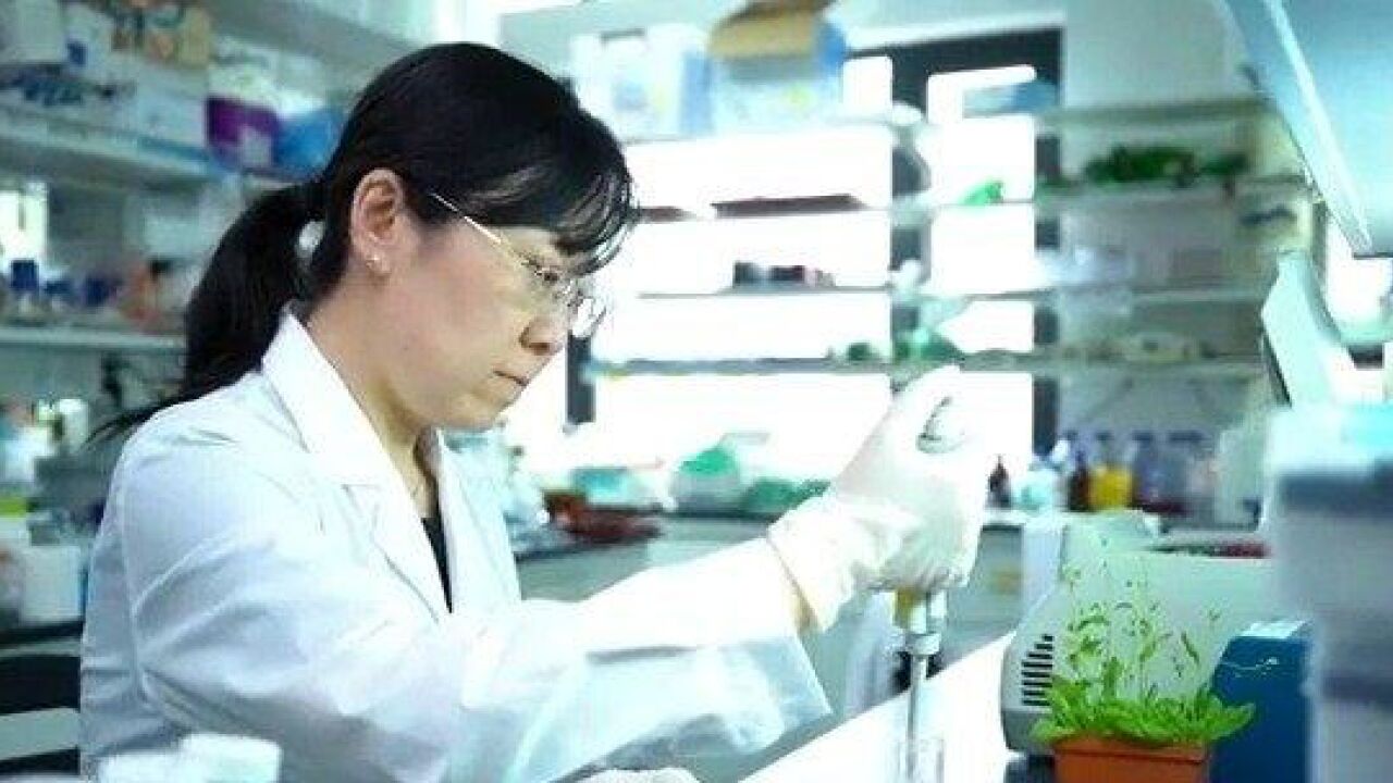 中国青年女科学家奖获得者刘宏涛 解码植物光信号的故事