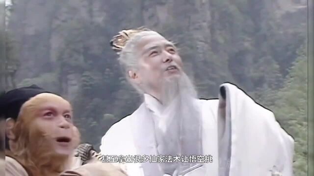 菩提祖师为什么喜欢悟空?最大的悟性是顿悟神话片