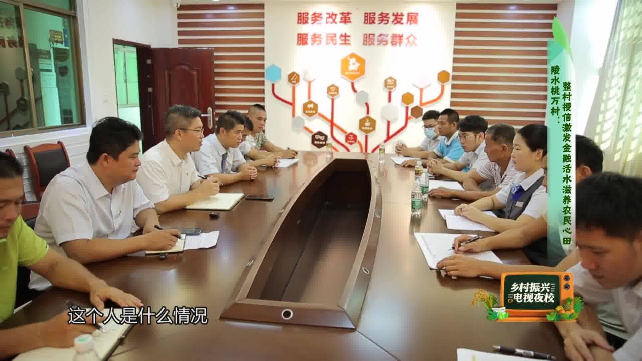 陵水桃万村:整村授信激发金融活水滋养农民心田