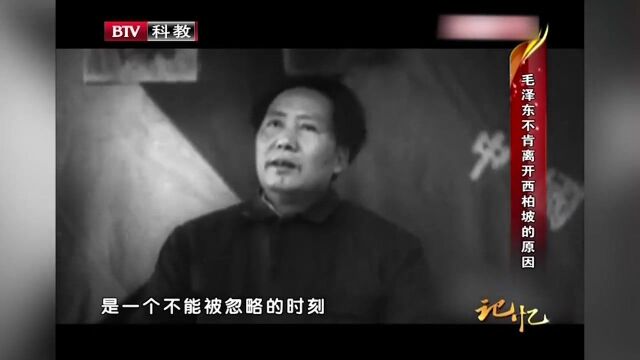 1949年3月5日,毛主席等人在西柏坡,经历了一场生死考验