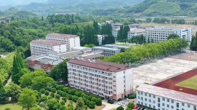 衢州高级中学新校区即将搬迁,怀念那条一林荫大道、同学们绘画的涂鸦墙、向日葵...