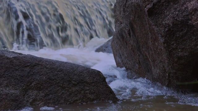 雨中黄山美景自带“滤镜”,美翻啦!