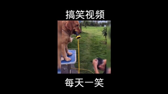 英妹搞笑视频