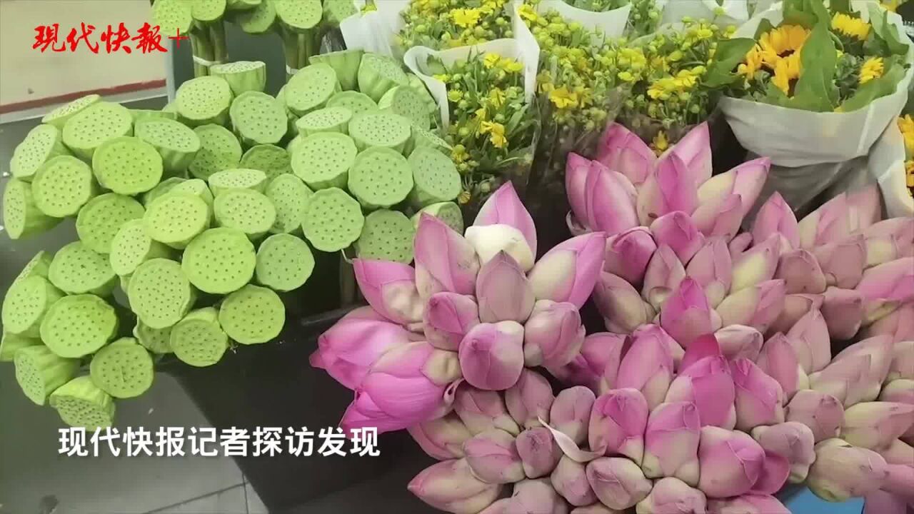 “荷”风遇上“新中式”,你的夏天被荷花承包了吗?