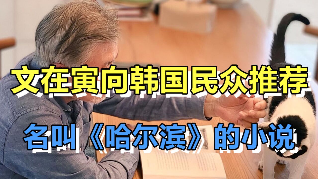 文在寅向韩国民众,推荐这本小说,因歌颂了击毙伊藤博文的韩国人