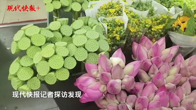 “荷”风遇上“新中式”,你的夏天被荷花承包了吗?