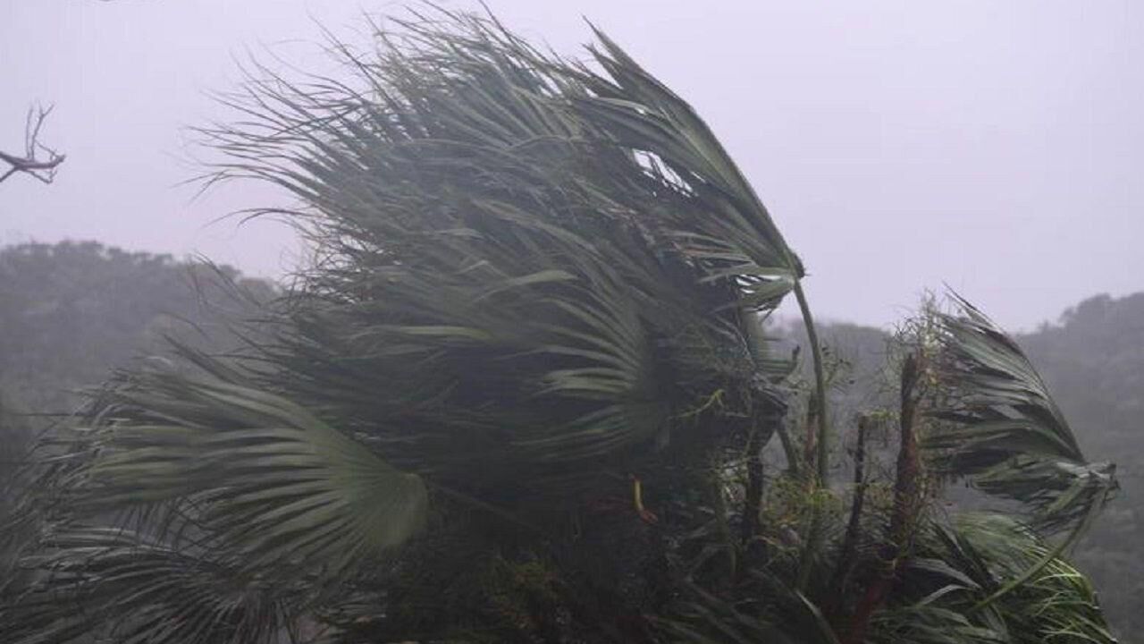 台风在茂名电白沿海登陆,广州为何风大雨小?气象部门释疑