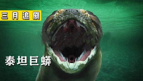纪录片《泰坦巨蟒》史上最大蛇类泰坦巨蟒，以鳄鱼为食