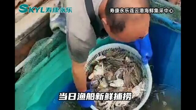 寿康永乐连云港海鲜集采中心