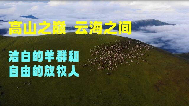 美丽的西马拉雅山脉高山之巅,云海之间——自由的放牧人