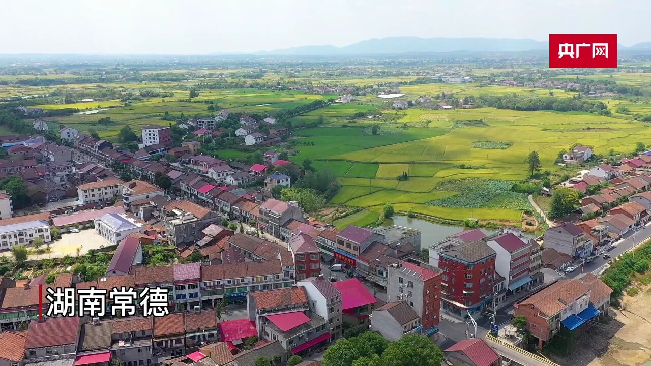 湖南常德:瞄准城市消费升级 300亩红心猕猴桃采摘获认领