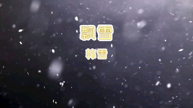 飘雪—韩雪