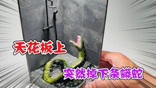 模型制作：在浴室里闭眼洗澡时，突然掉下来一条可怕的蟒蛇