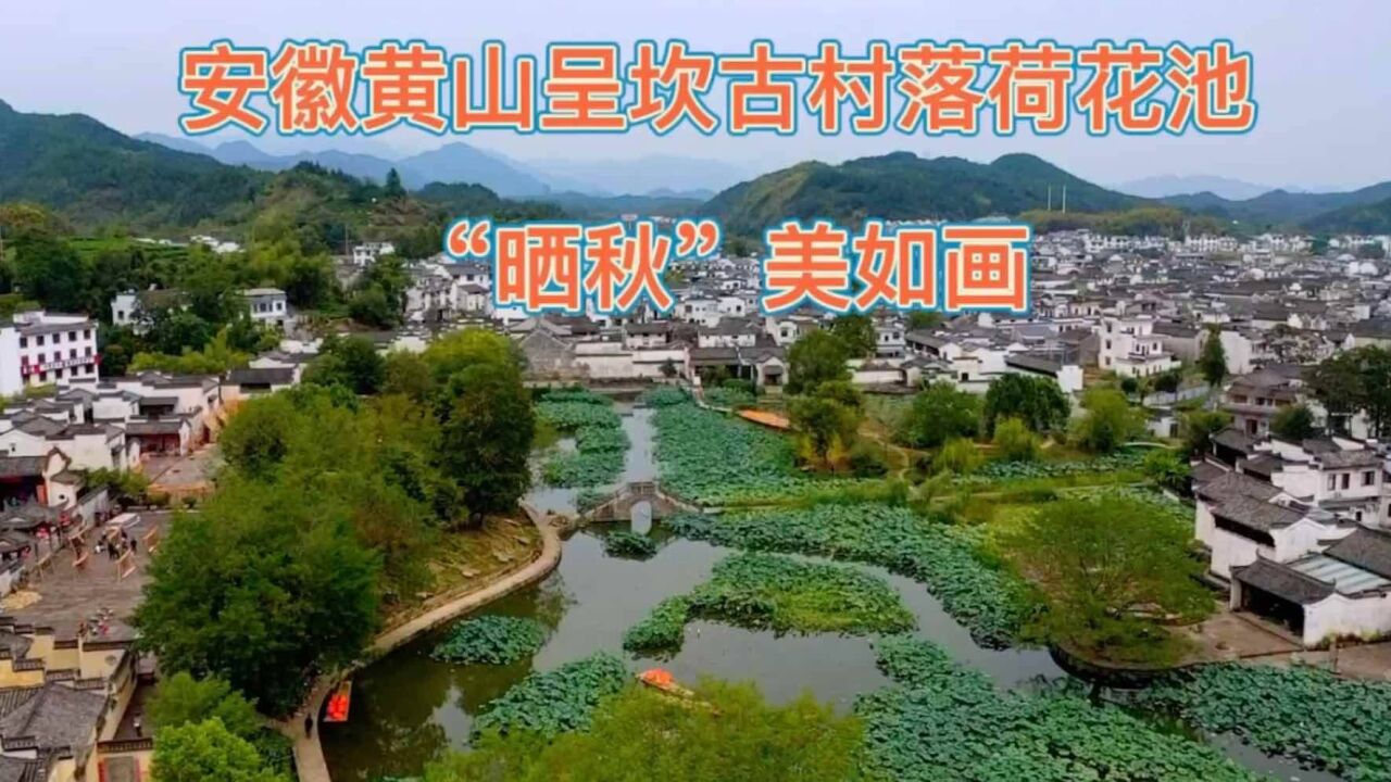 安徽黄山呈坎古村落永兴湖广场,“晒秋”美如画