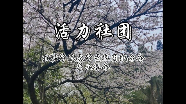 宜宾学院大学生社团联合会手工协会