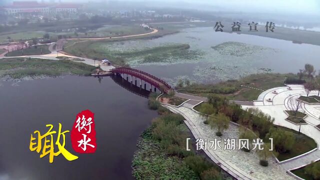 【衡水湖5A创建进行时】瞰衡水之风光旖旎衡水湖