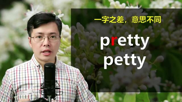 英语单词pretty和petty一字之差?巧学英语句子和语法