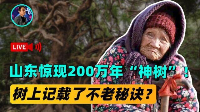 山东惊现上古“神树”!至今存活200万年,树上记载了长寿秘诀?