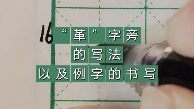 “革”字旁的写法以及例字的书写