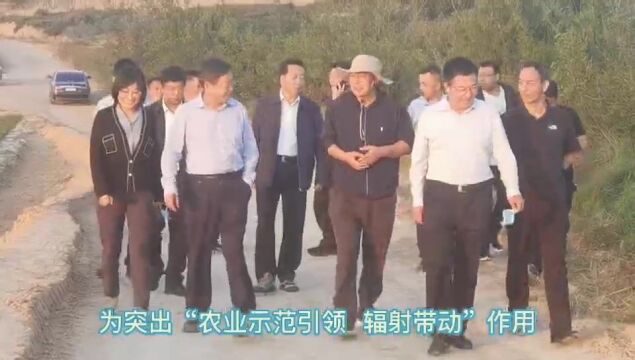 以“标准化种植”为引领 破解市场准入门槛壁垒