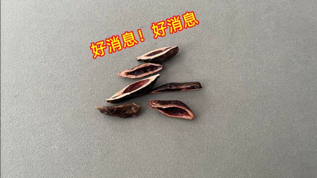 好消息!暴利产业在浙江义乌江西南昌下架了,大家赶紧来看看吧