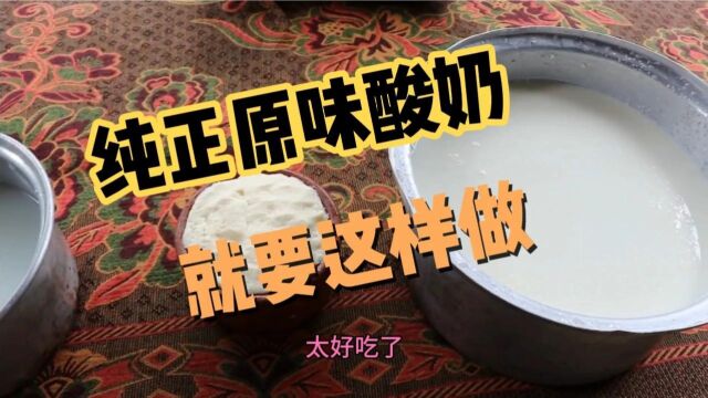 纯正原味手工酸奶的制作过程!快来看看吧!