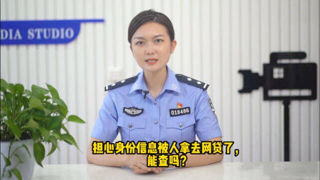 担心身份信息被人拿去网贷了,能查询吗?