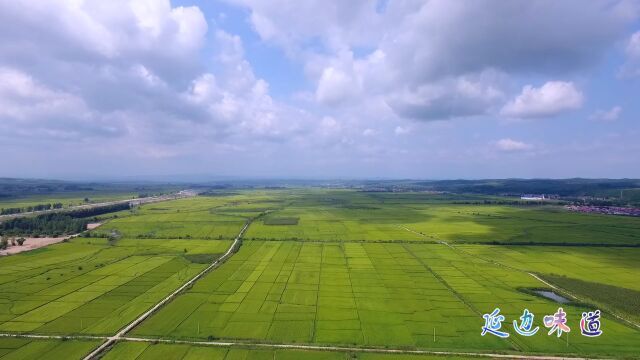 【晨报视频】延边味道:延边大米,晶莹白米,油润清香!