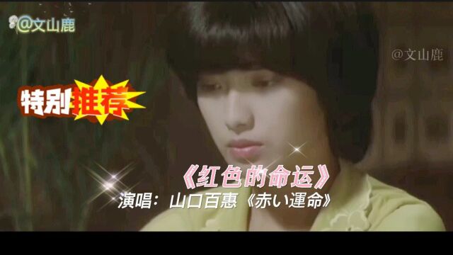 山口百惠经典曲目《赤い运命》,重温经典,心灵的约定