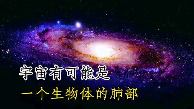 脑洞大开的宇宙猜想