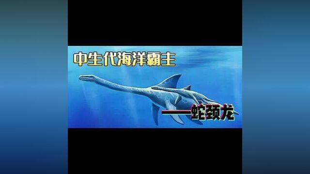 中生代海洋霸主——《蛇颈龙》 #蛇颈龙 #海洋生物 #史前巨兽 #原创 #海底世界 #涨知识