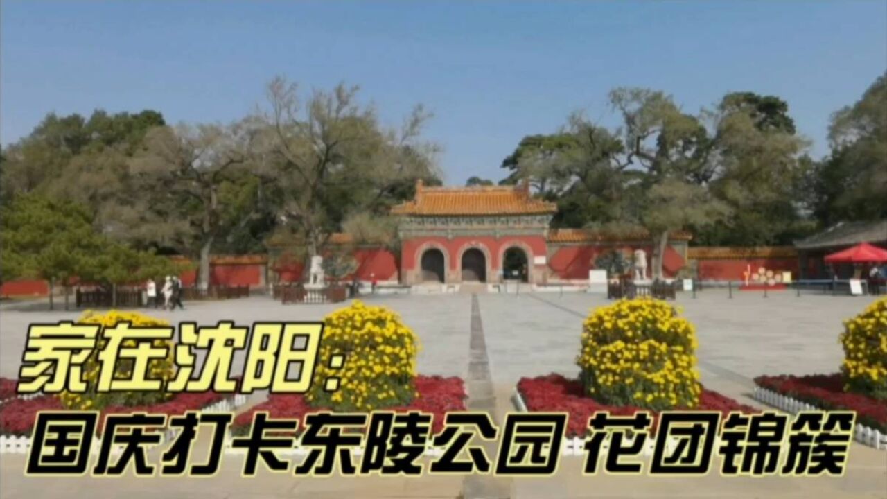 家在沈阳:国庆打卡东陵公园,满眼花团