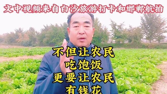 不但让农民吃饱饭,更要让农民有钱花 #三农 #振兴乡村 #农民 #新农人 #有机蔬菜