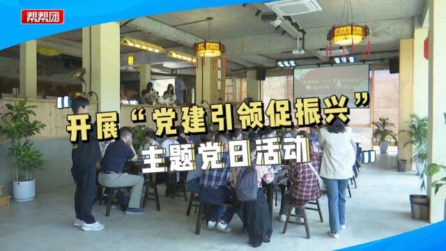 综合频道中心党总支开展“党建引领促振兴”主题党日活动