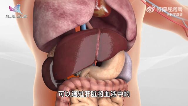 选拔任用市管干部人选公示