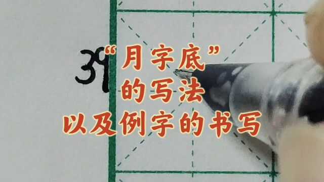 “月字底”的写法以及例字的书写