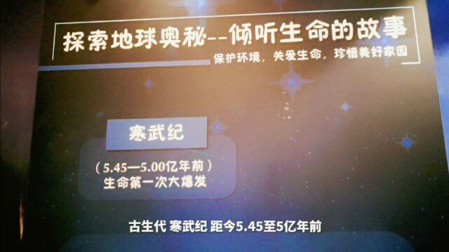 地质历史划分及主要生物演化 地球形成初期 冥古代 距今4638亿年前