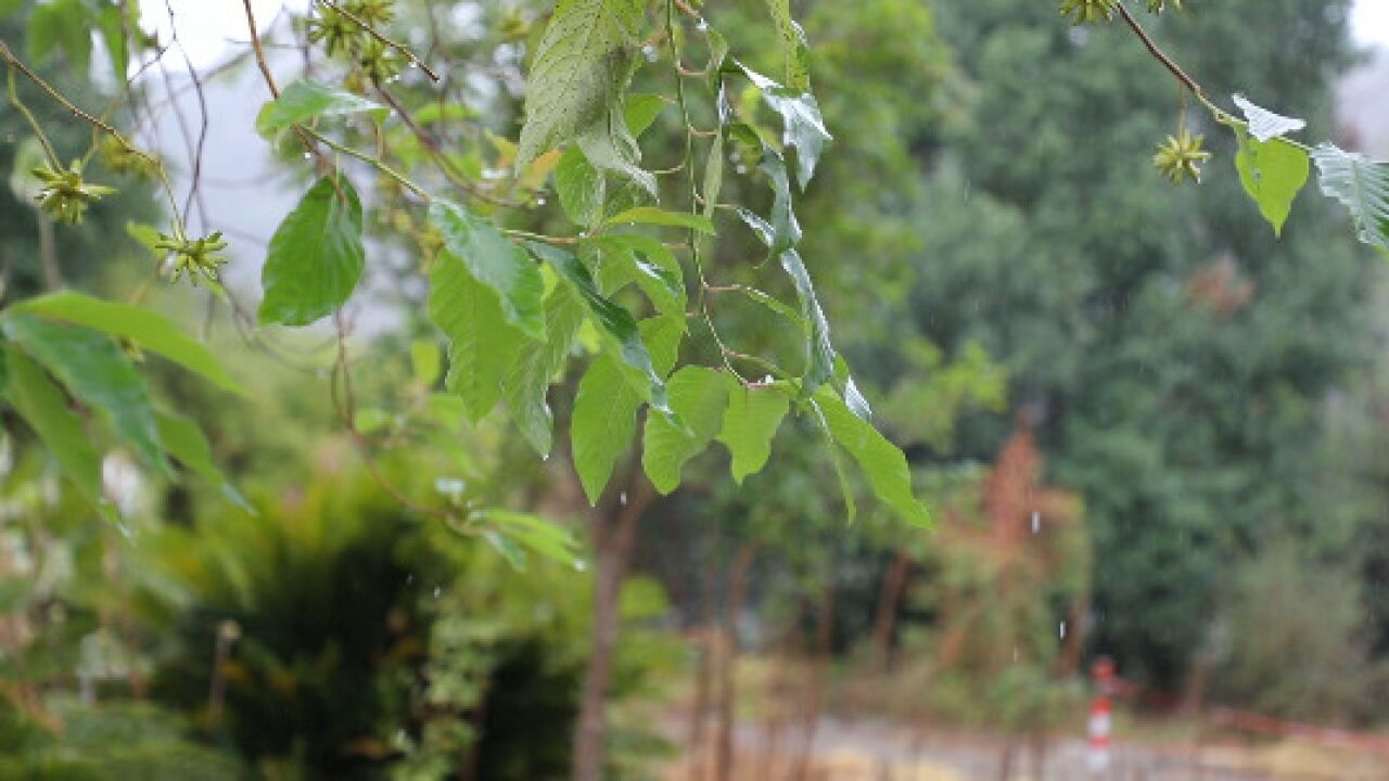 茶陵:开展人工增雨 助力农业生产